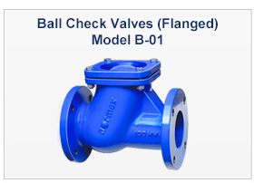 Ball Type Check Valves (NRV) B-01