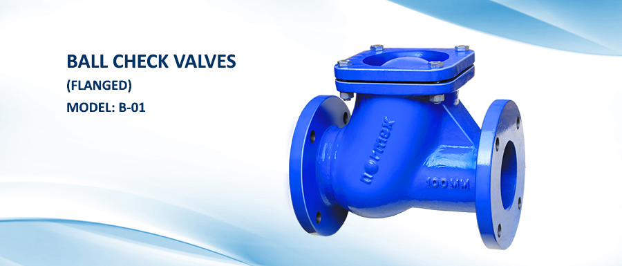 Ball Type Check Valves (NRV) B-01 - Acquitech Engineers Pvt. Ltd.